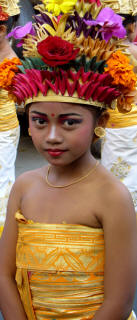 Bali Borneo & Beyond